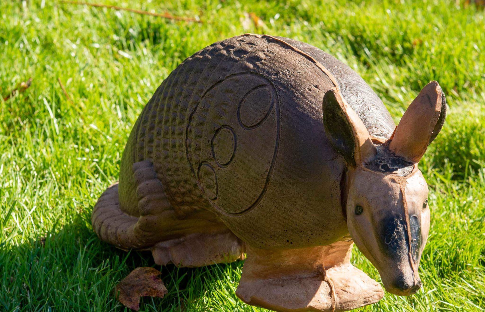 Real Wild Competition Armadillo Archery Target with EZ Pull Foam - Skoutley Outdoors LLC