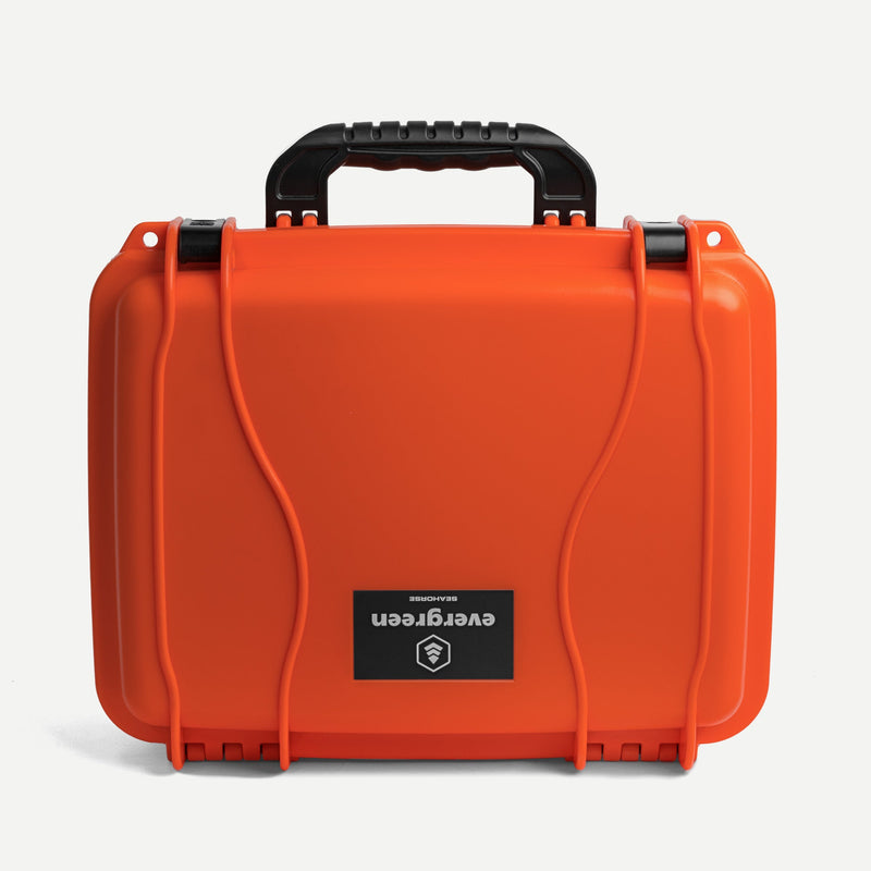 Load image into Gallery viewer, Seahorse 520
