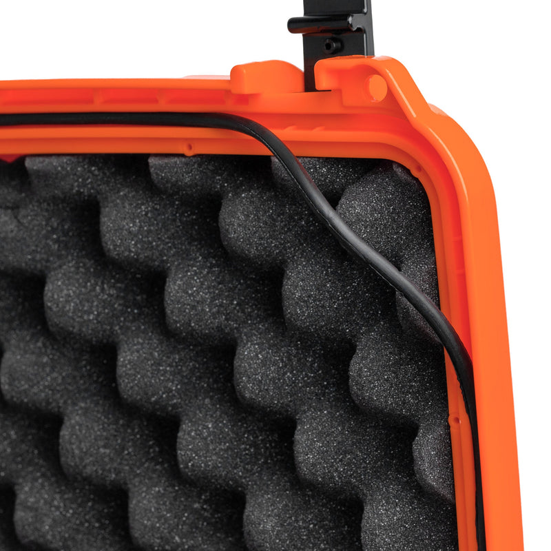 Load image into Gallery viewer, Seahorse 520
