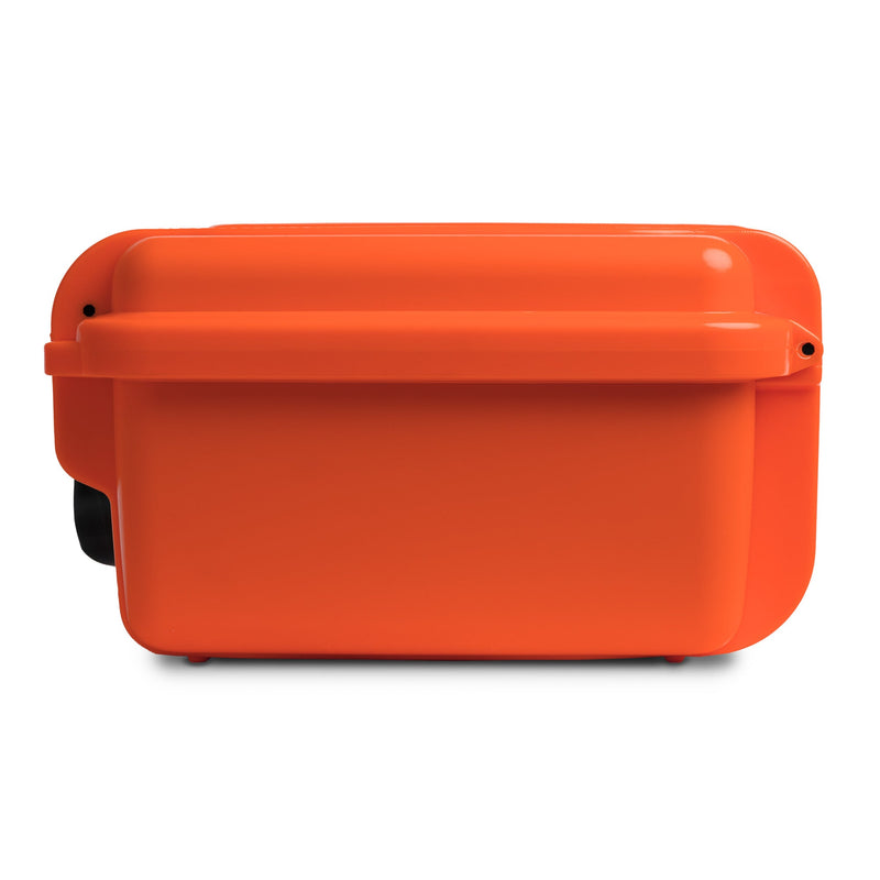 Load image into Gallery viewer, Seahorse 520
