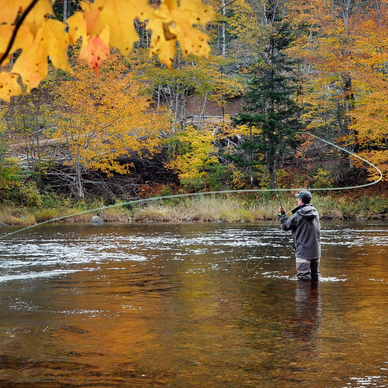 Load image into Gallery viewer, 3 Pack Blue Wing Olive BWO Classic Dry Fly - Hook Size 20
