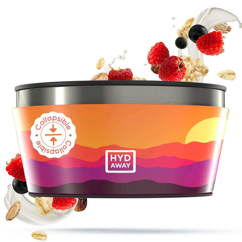 Load image into Gallery viewer, Collapsible Insulated Bowl | 1-Quart - Skoutley Outdoors LLC
