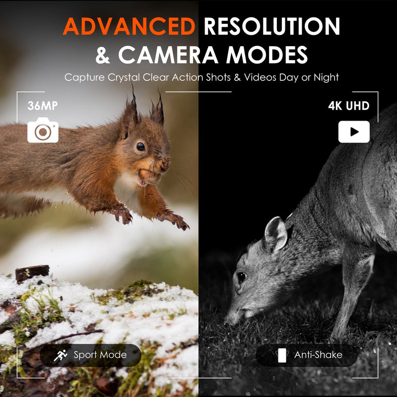 Load image into Gallery viewer, Rexing B1 Pro – 4K IR Night Vision Digital Binocular
