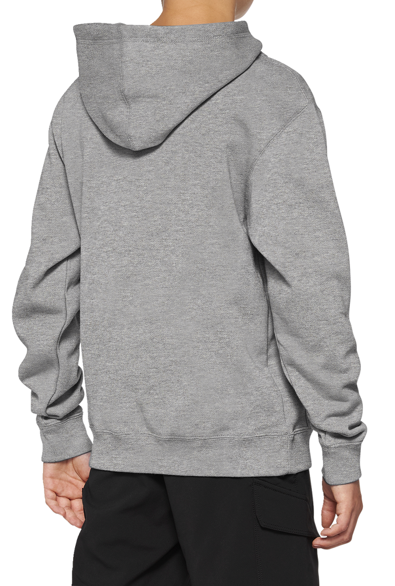 Load image into Gallery viewer, 100% Youth Icon Hoodie - Gray - Small 20030-00004
