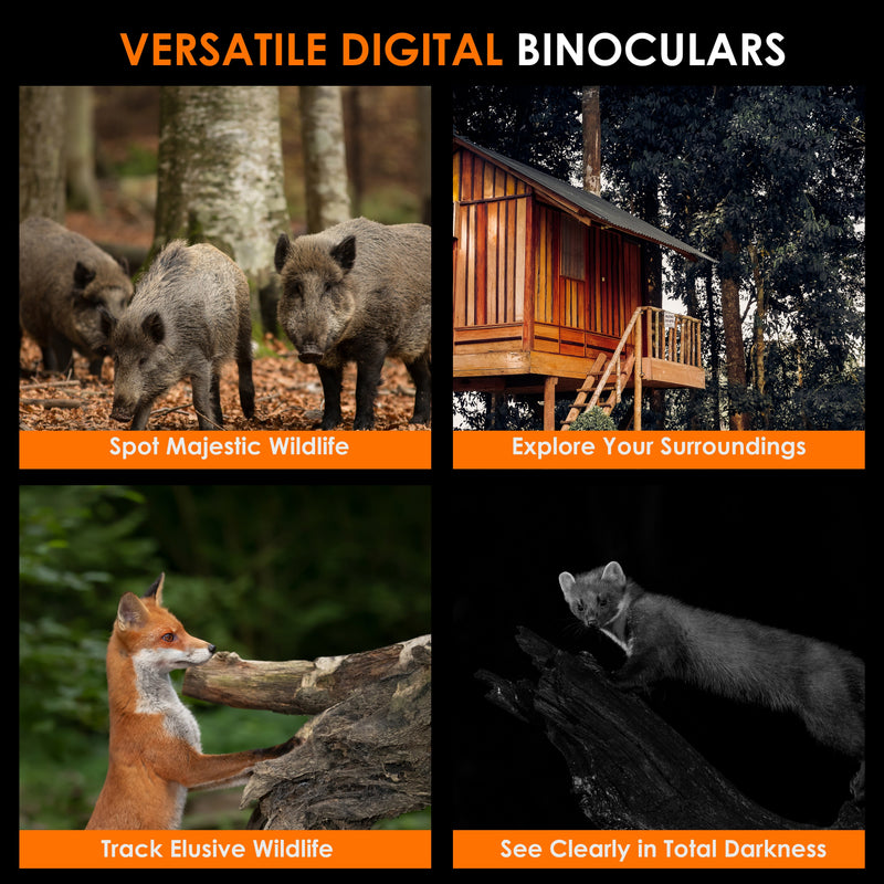 Load image into Gallery viewer, Rexing B1 Compass Night Vision Binoculars 4K Ultra HD
