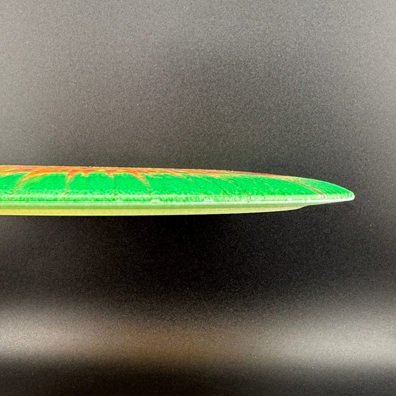 Load image into Gallery viewer, I-Dye Champion Tern
