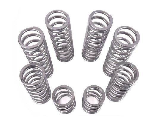 Shock Therapy Dual Rate Spring Kit (DRS) for Polaris RZR Turbo R