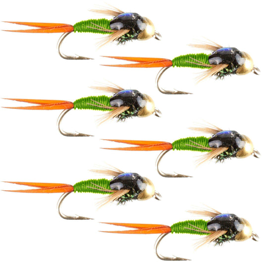 Tungsten Bead Head Chartreuse Copper John Nymph Fly Fishing Flies - Set of 6 Flies Hook Size 16 - Skoutley Outdoors LLC