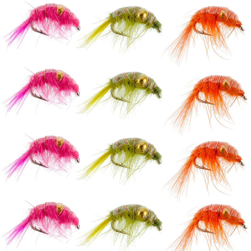 Load image into Gallery viewer, Beaded Shrimp Scud Assortment - 1 Dozen - 4 Each of 3 Patterns Size 12 - Tailwater Lake Fly Fishing Flies Collection
