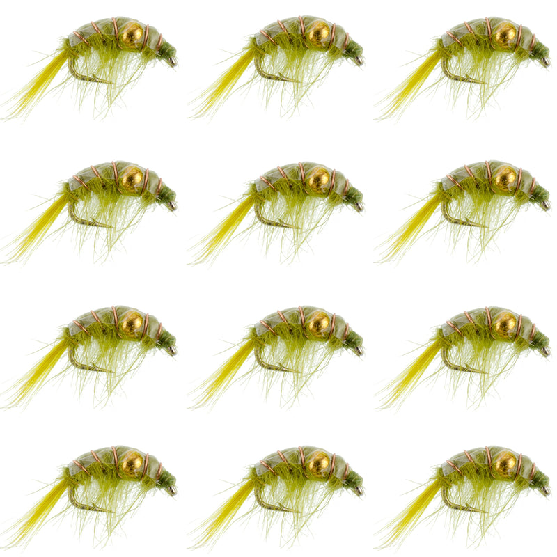 Load image into Gallery viewer, Olive Beaded Shrimp Scud Pattern - 1 Dozen Size 12 - Tailwater Lake Fly Fishing Nymph
