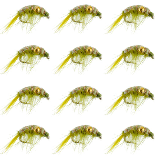 Olive Beaded Shrimp Scud Pattern - 1 Dozen Size 12 - Tailwater Lake Fly Fishing Nymph