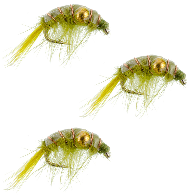 Load image into Gallery viewer, 3 Pack Olive Beaded Shrimp Scud Pattern - Size 12 - Tailwater Lake Fly Fishing Nymph Flies
