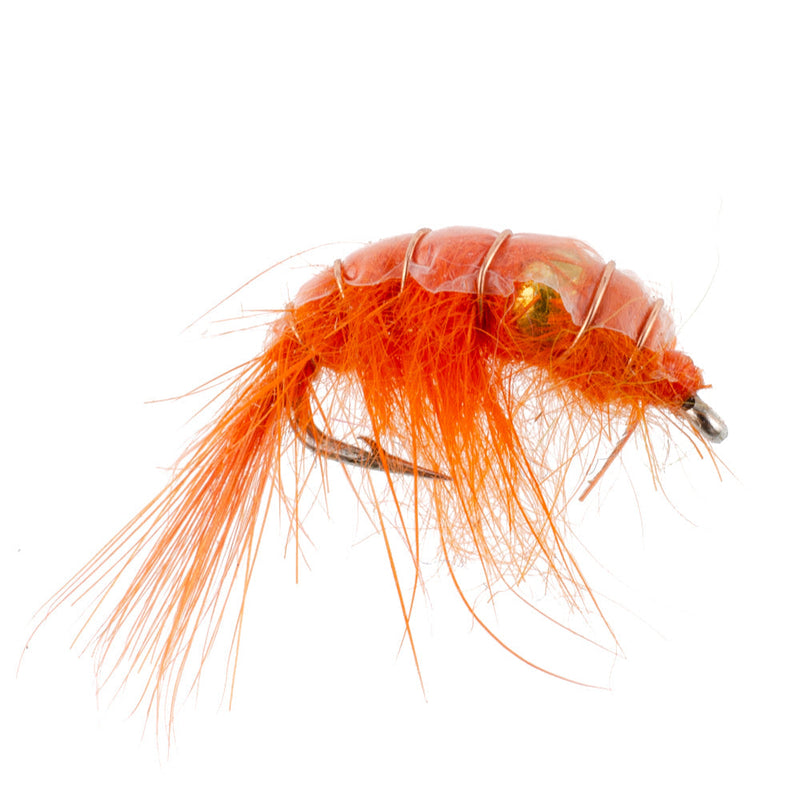 Load image into Gallery viewer, 3 Pack Orange Beaded Shrimp Scud Pattern - Size 12 - Tailwater Lake Fly Fishing Nymph Flies
