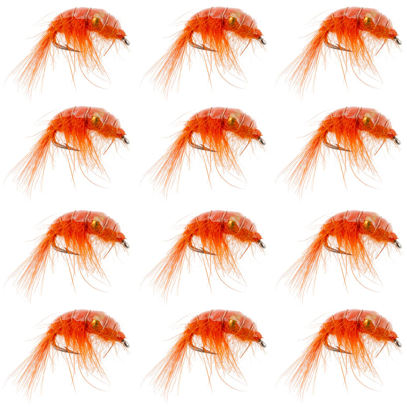 Load image into Gallery viewer, Orange Beaded Shrimp Scud Pattern - 1 Dozen Size 12 - Tailwater Lake Fly Fishing Nymph
