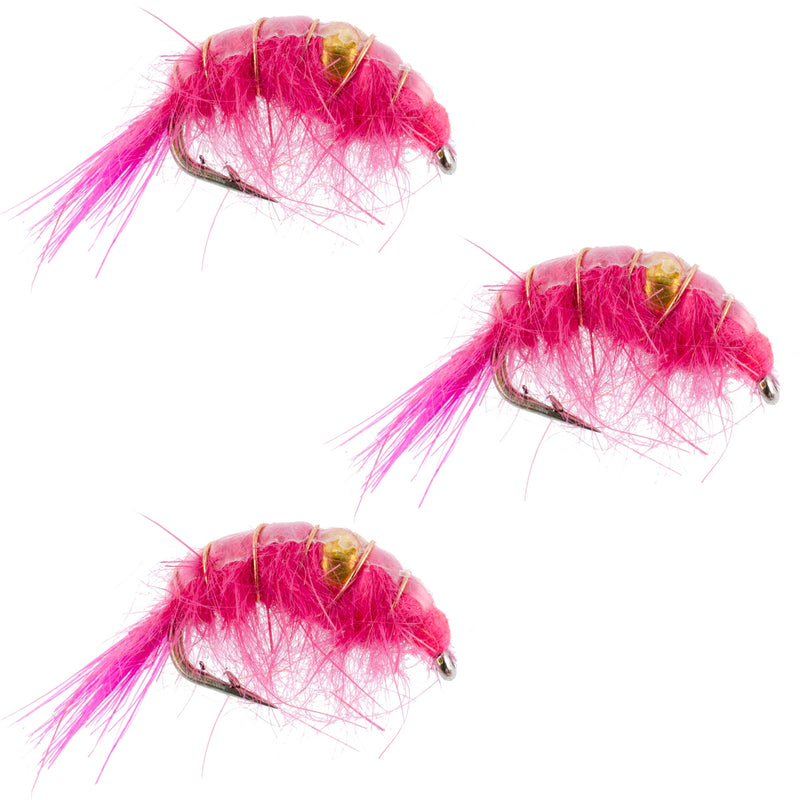 Load image into Gallery viewer, 3 Pack Pink Beaded Shrimp Scud Pattern - Size 12 - Tailwater Lake Fly Fishing Nymph Flies
