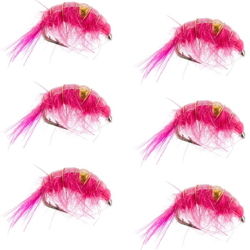 Load image into Gallery viewer, Pink Beaded Shrimp Scud Pattern - 6 Flies - Size 12 - Tailwater Lake Fly Fishing Nymph
