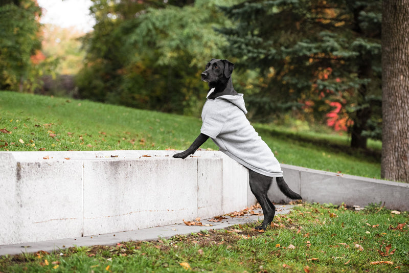 Load image into Gallery viewer, Brave Bark Hooded Dog Fleece - Heather Grey
