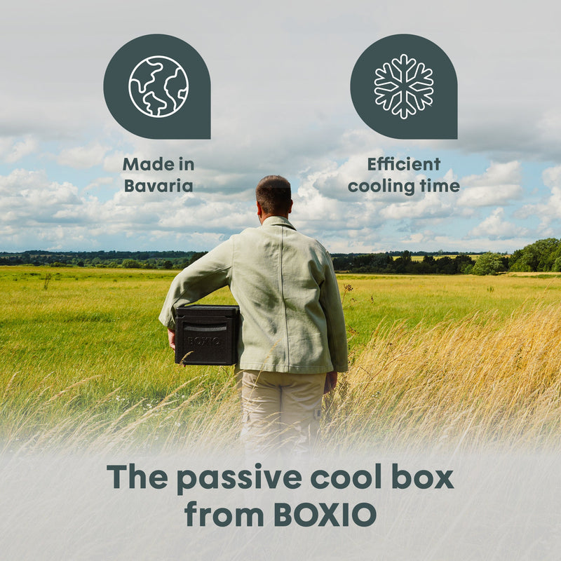 Load image into Gallery viewer, BOXIO COOL PLUS I Passive cooler box with cool packs
