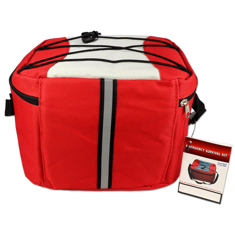 Load image into Gallery viewer, Cooler Bag
