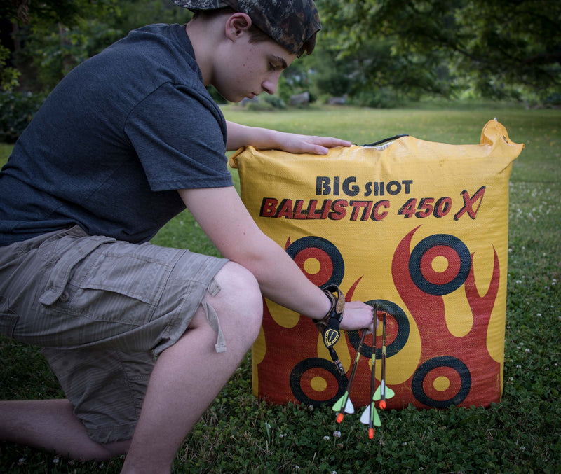 Load image into Gallery viewer, Ballistic 450X Bag Target
