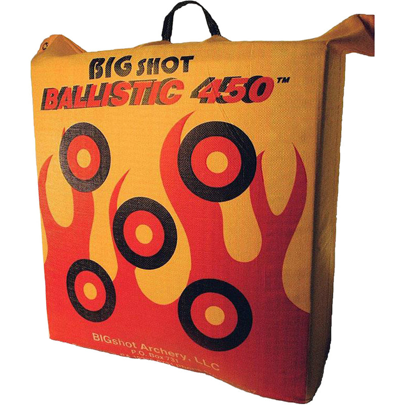 Load image into Gallery viewer, Ballistic 450X Bag Target
