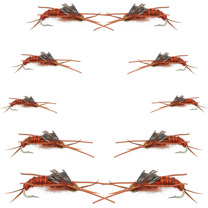 Load image into Gallery viewer, Basics Collection - Kaufmann's Brown Stonefly Kit 10 Flies #Sizes 6-12
