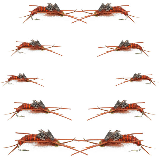 Basics Collection - Kaufmann's Brown Stonefly Kit 10 Flies
