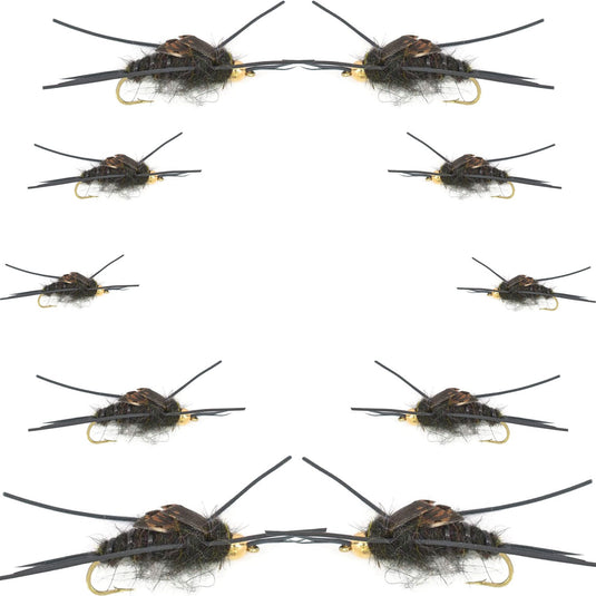 Basics Collection - Kaufmanns Black Stonefly Assortment - 10 Flies