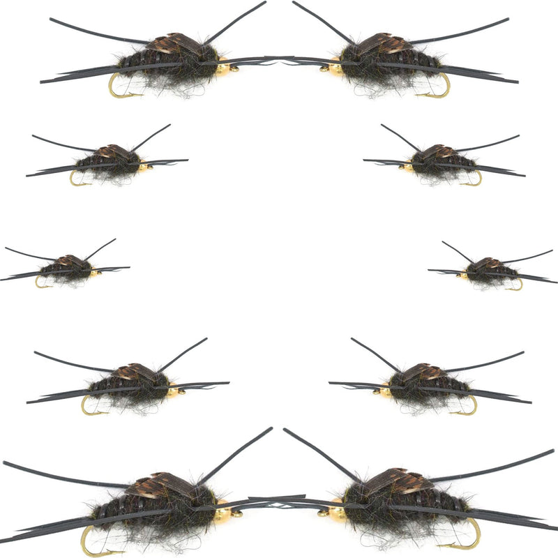 Load image into Gallery viewer, Basics Collection - Kaufmann's Tungsten Black Stonefly Kit 10 Flies #4-12
