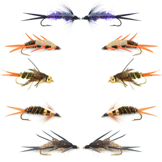 Basics Collection - Double Bead Nymph Assortment - 10 Wet Flies - Size 12