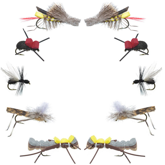 Basics Collection - Terrestrials Fly Assortment - 10 Flies - Sizes 10-14