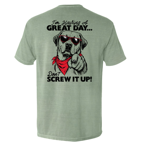 Don't Screw It Up
