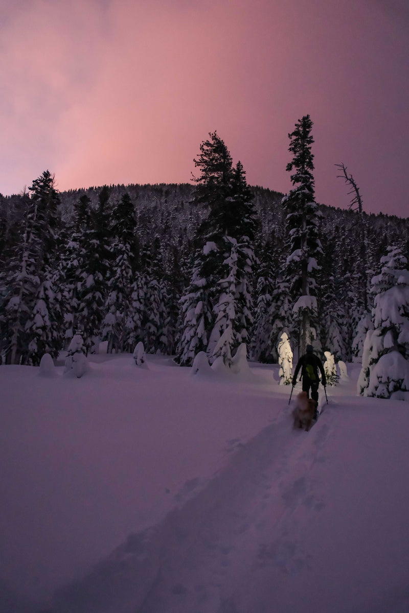 Load image into Gallery viewer, Beacon Rechargeable 500 Lumen Headlamp
