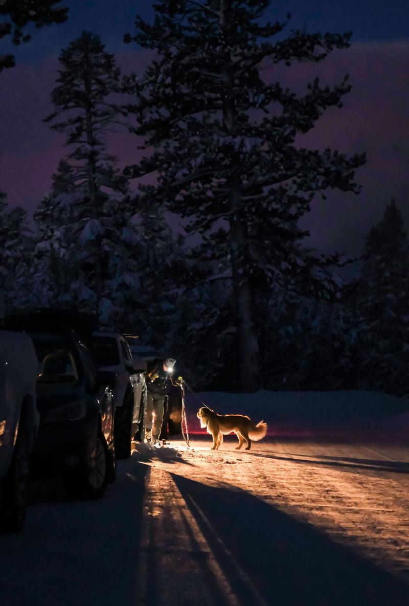 Load image into Gallery viewer, Beacon Rechargeable 500 Lumen Headlamp
