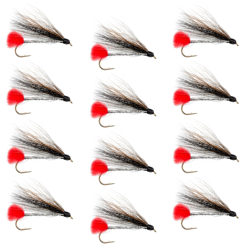 Load image into Gallery viewer, Black Nose Dace Classic Streamer Flies - Set of 12 - Hook Size 4
