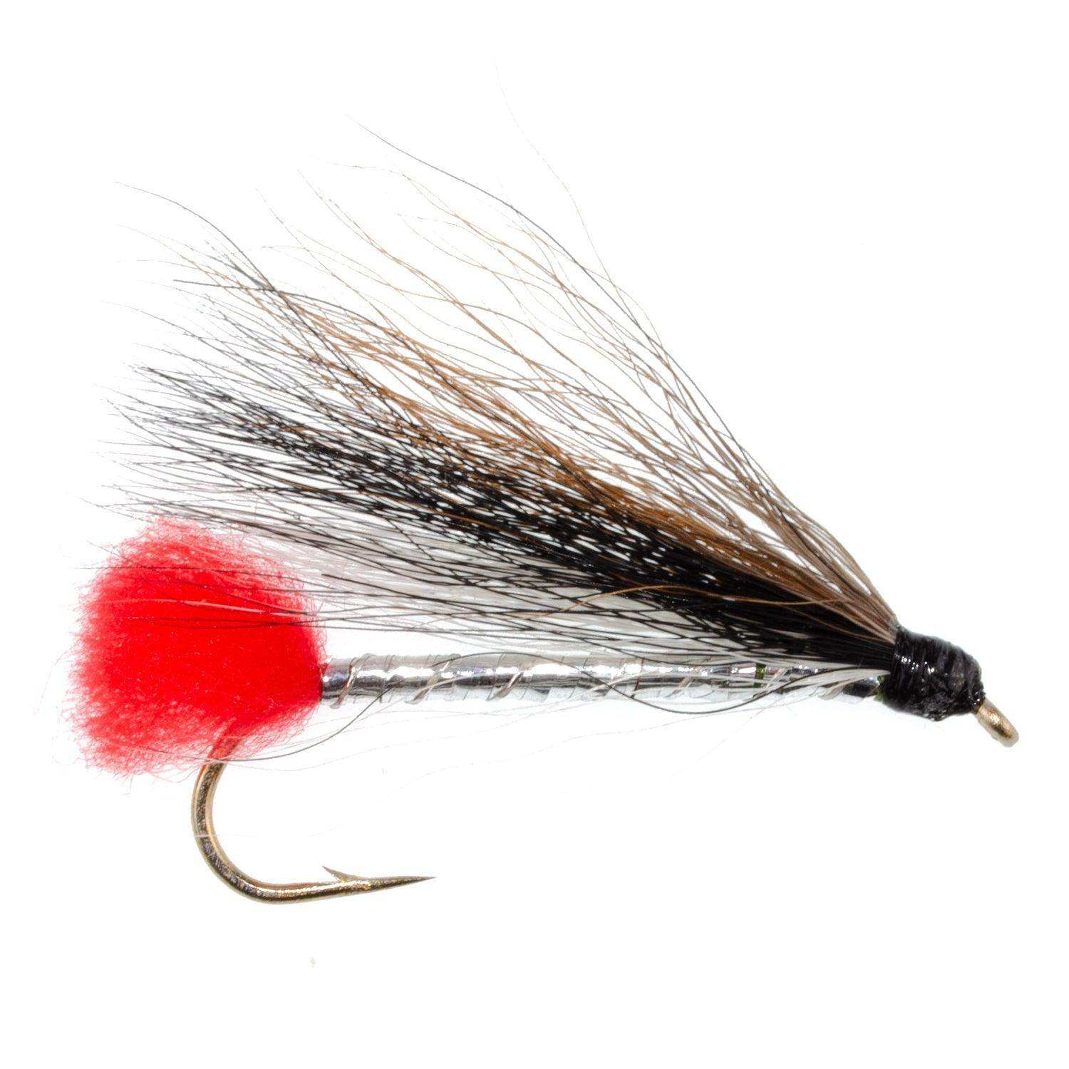 Black Nose Dace Classic Streamer Flies - Set of 4- Hook Size 4 - Skoutley Outdoors LLC