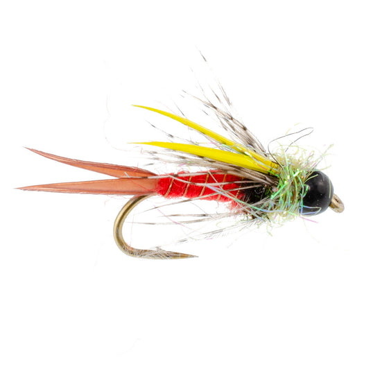 Tungsten Bead Head Nicks Prince Special Nymph Fishing Flies - Set of 6 Flies Hook Size 16