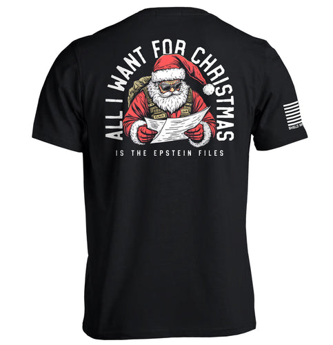 All I Want for Christmas is the Epstein Files