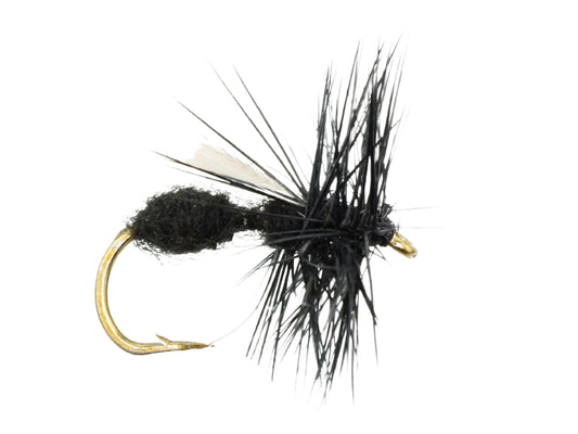 Winged Black Ant, Size 12 | Qty. 6 | Wild Water Fly Fishing - Skoutley Outdoors LLC