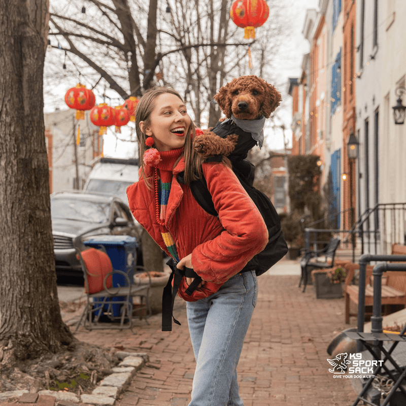 Load image into Gallery viewer, Knavigate | Advanced Dog Carrier with Internal Frame &amp; Hip Belt
