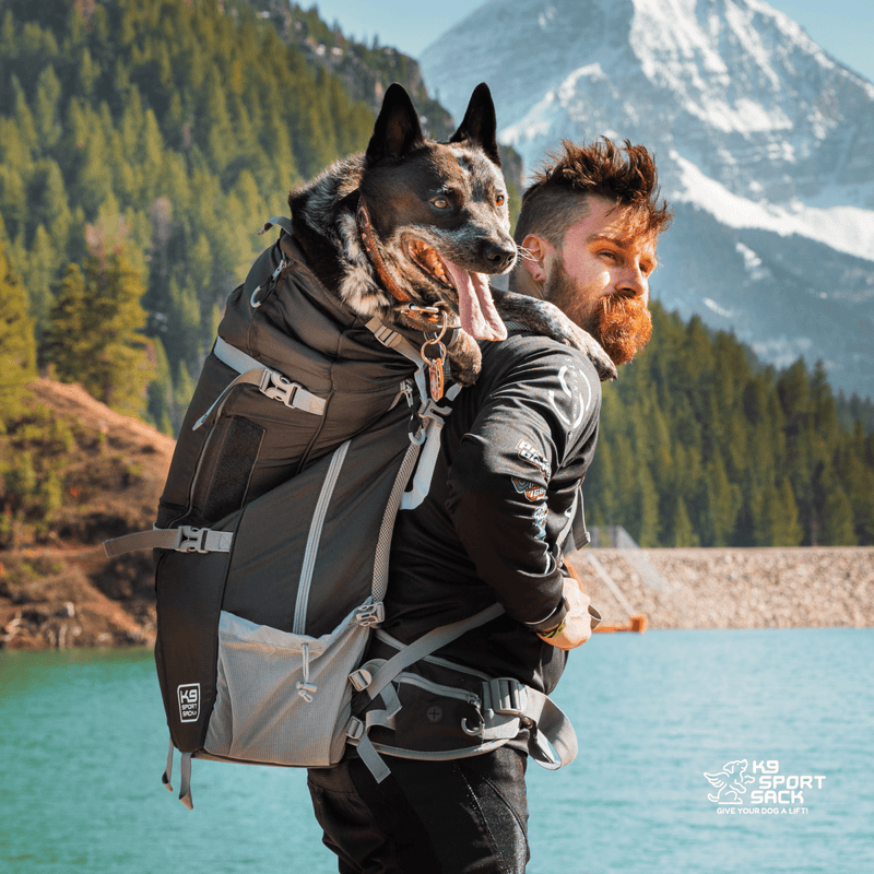 Load image into Gallery viewer, Kolossus | Big Dog Carrier &amp; Backpacking Pack
