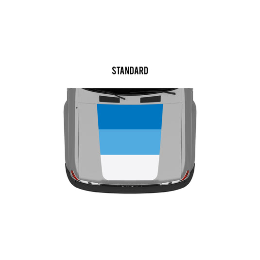 80 Series Land Cruiser Retro Stripes