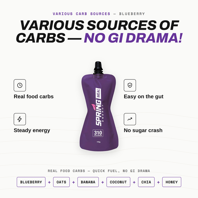 Load image into Gallery viewer, Blueberry Endurance Meal (Vegan) 310 Kcal
