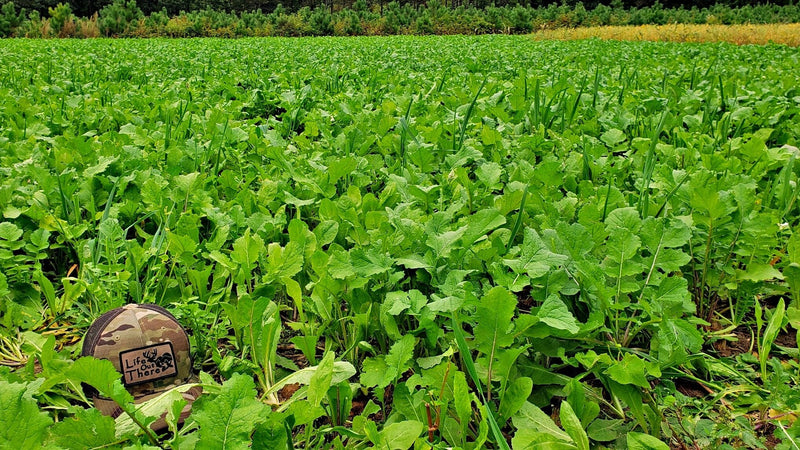 Load image into Gallery viewer, Boss Brew™ Food Plot Seed
