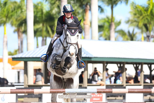 American Equus "Elite" English Stirrups Holographic Black