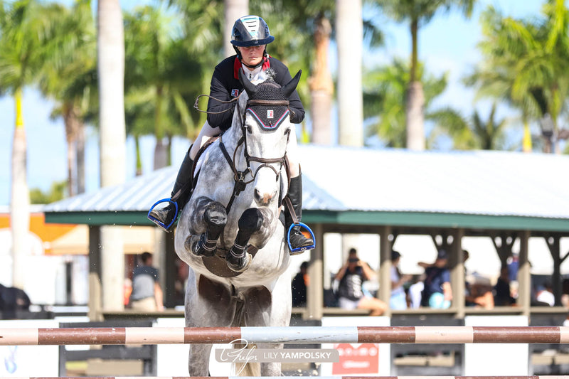 Load image into Gallery viewer, American Equus &quot;Elite&quot; English Stirrups Illusion Blue

