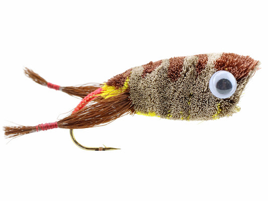 Deer Hair Frog Bass Bug Popper, Size 2 | Brown Frog | Qty. 2 | Wild Water Fly Fishing - Skoutley Outdoors LLC
