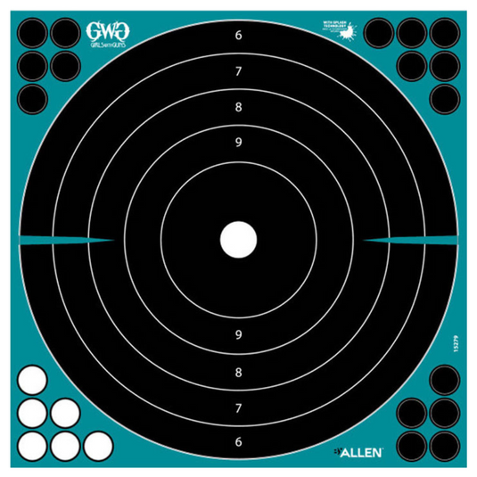 Bullseye Shooting Target