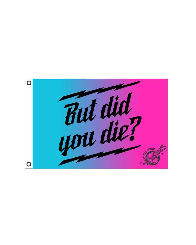 Load image into Gallery viewer, But did you Die? Flag 2' x 3'
