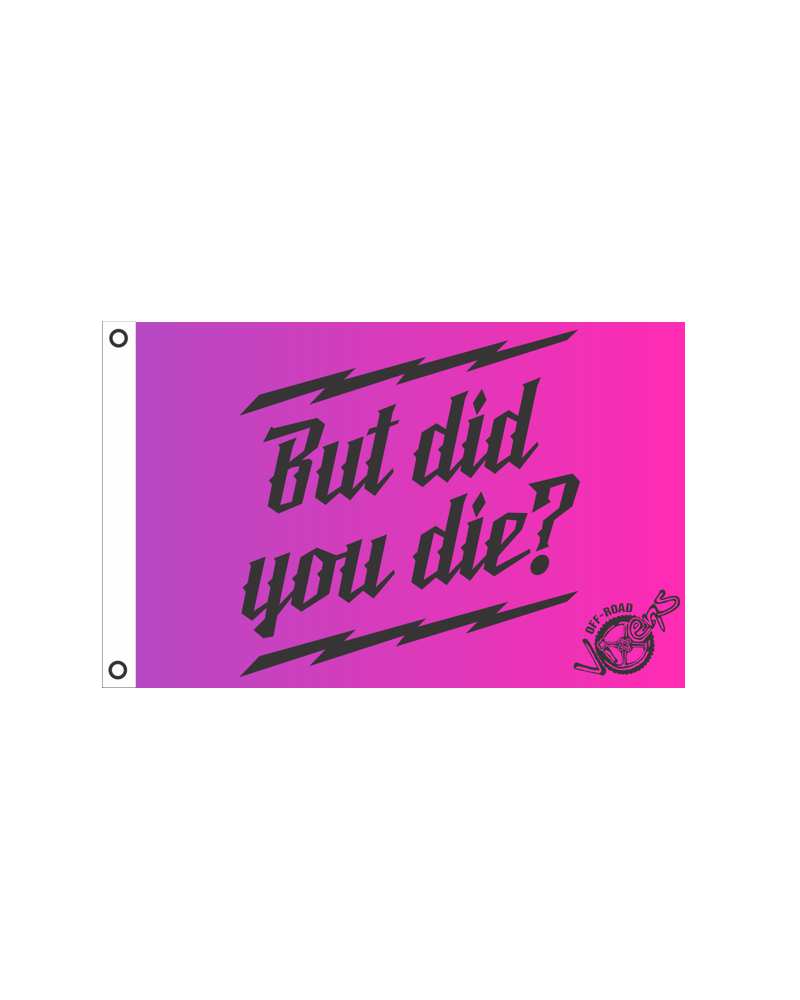 Load image into Gallery viewer, But did you Die? Flag 12" x 18"
